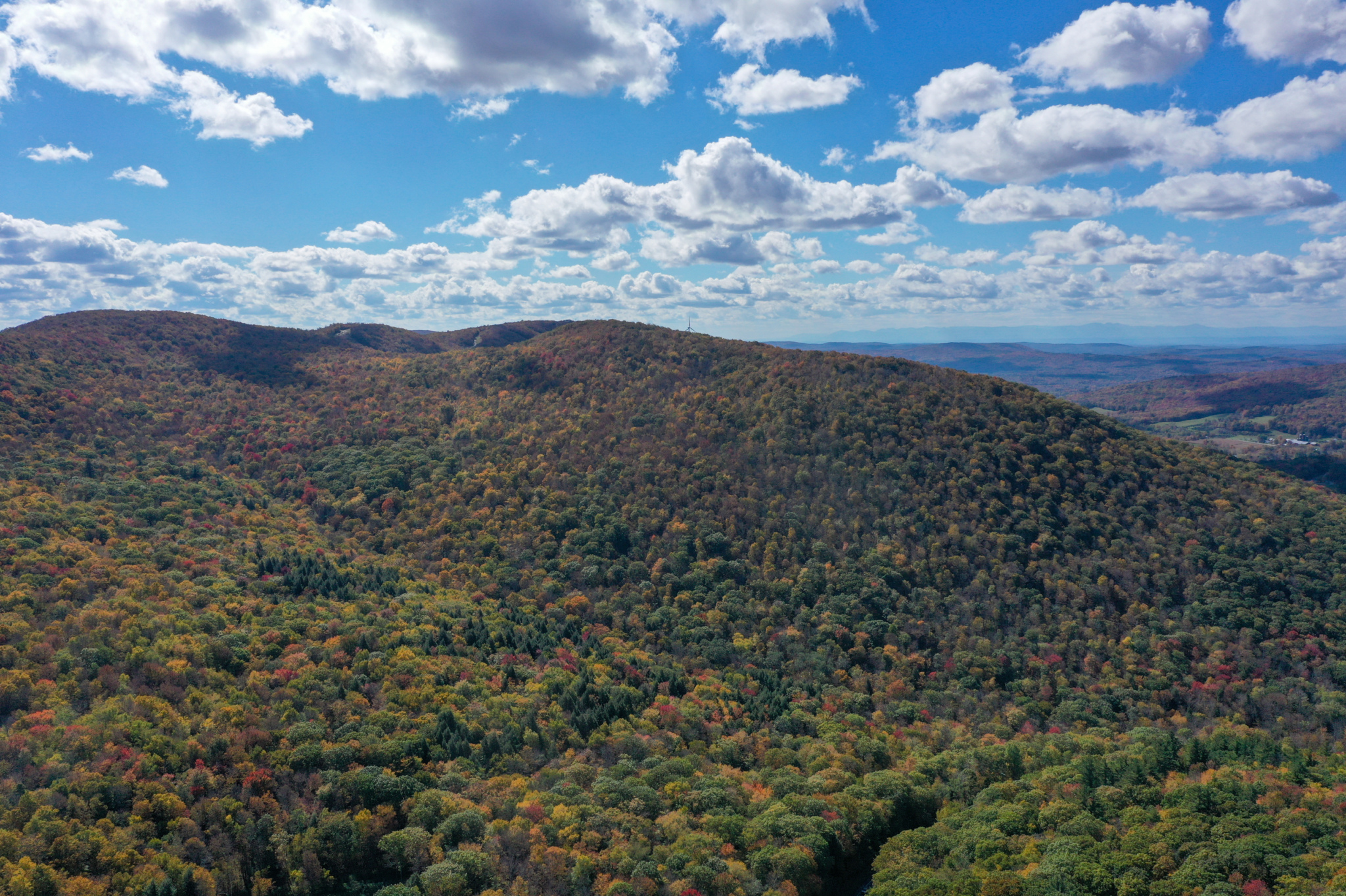 Thanks to $2.5 million from an anonymous donor, a world-class MTB trail system is coming to Western Massachusetts