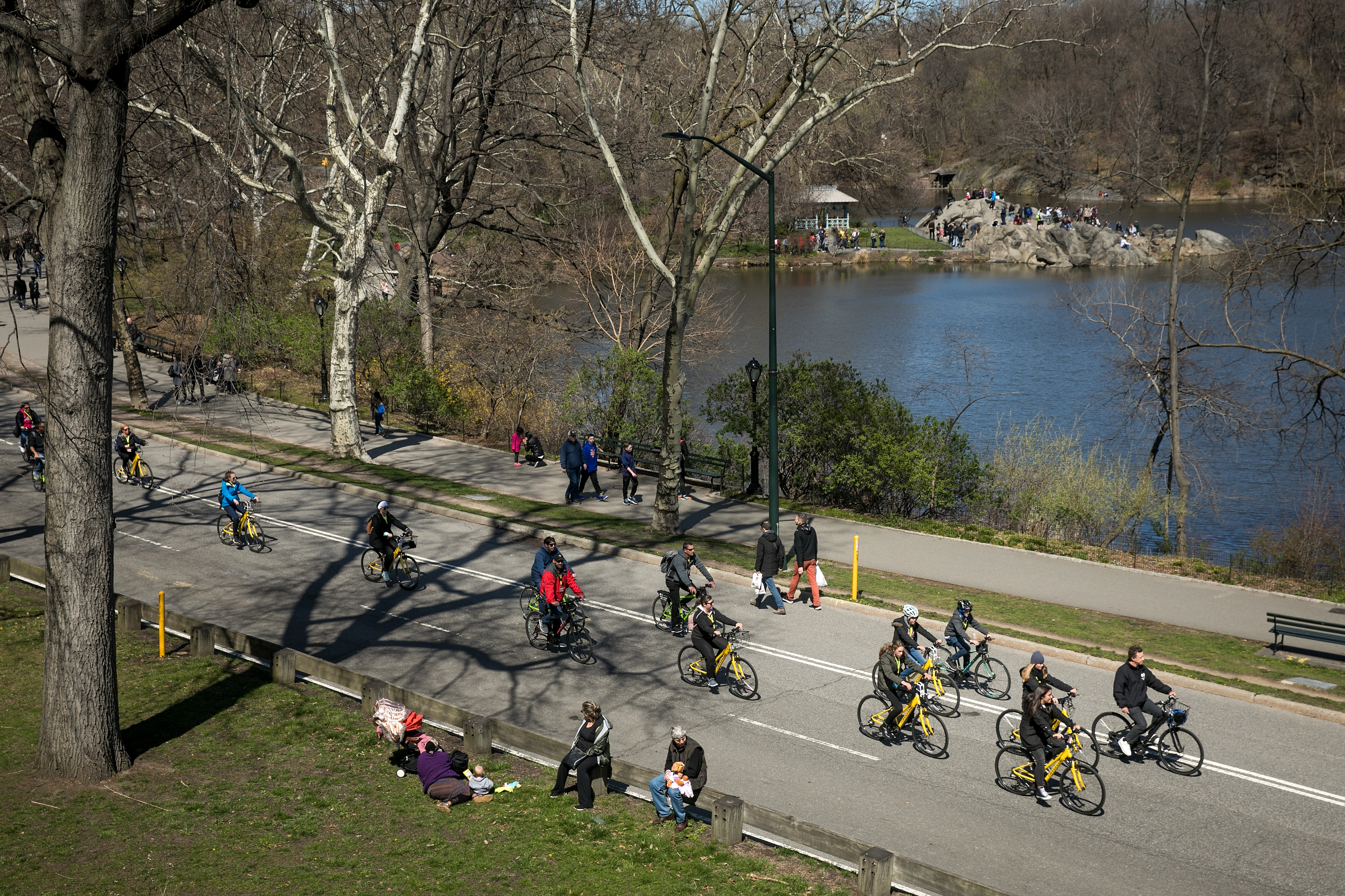 Central Park roadways set for redesign to give pedestrians and cyclists more space