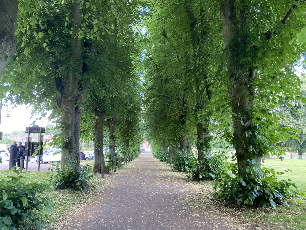 More delays to Abbey Fields cycle path